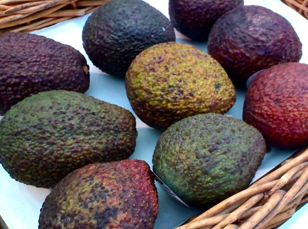 Deconstructing Guacamole