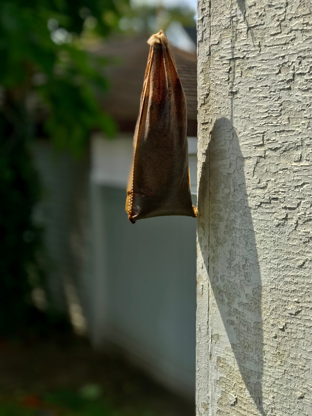 Undrinkable Cold Coffee&nbsp;Rests