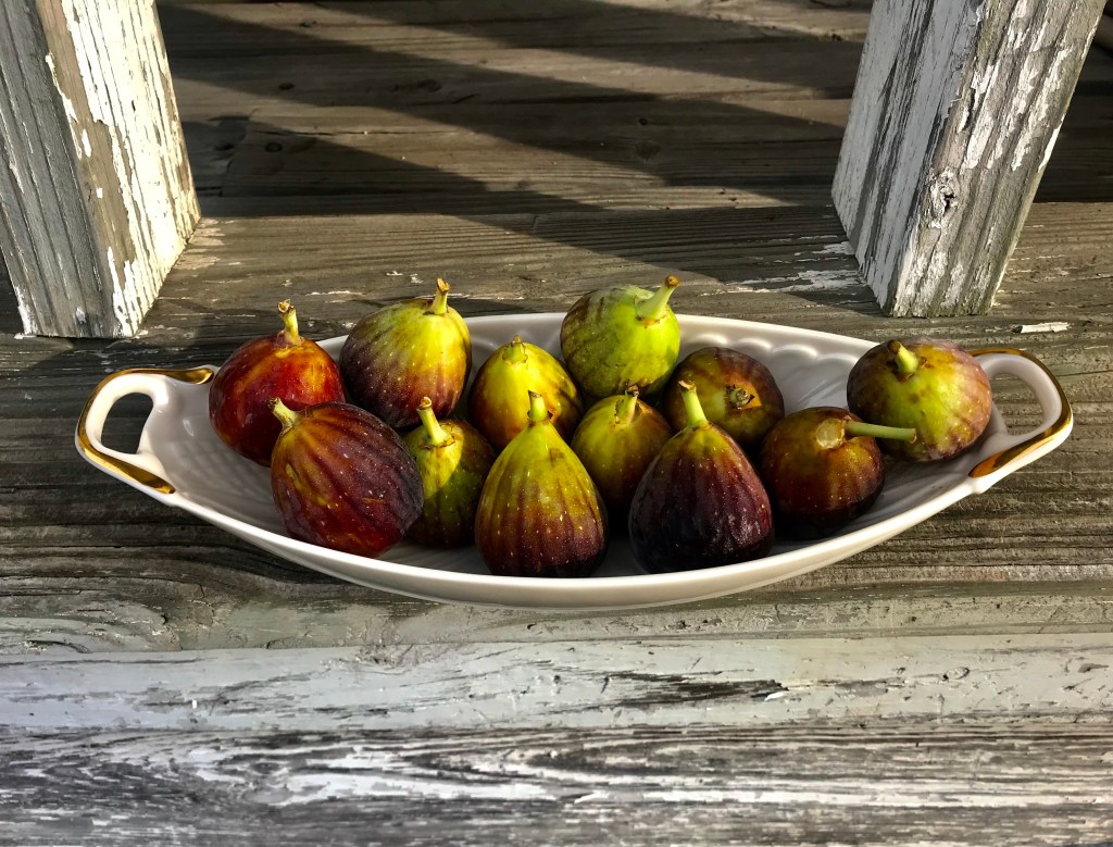 The Fig — a miniature&nbsp;constant