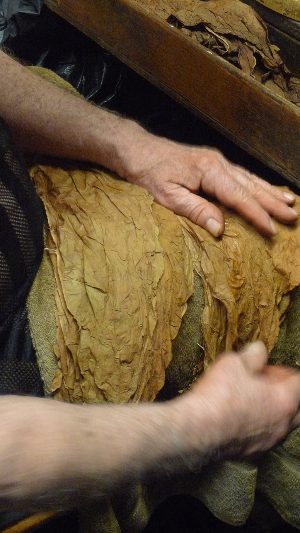 Art & Science — from beginning to&nbsp;end