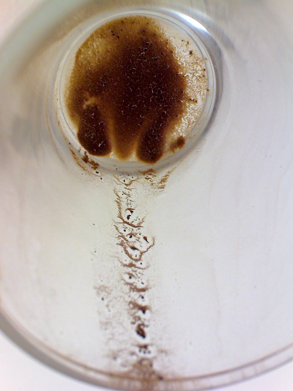 As a Rhinoceros gently departs — Undrinkable Coffee&nbsp;Rests