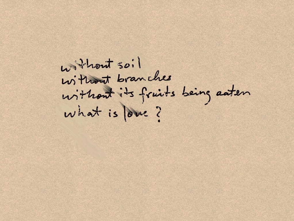 What is love…