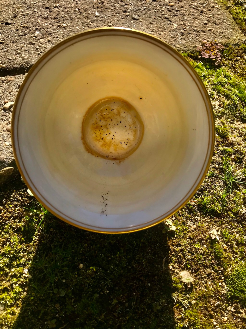 More fortune, nothing to&nbsp;tell