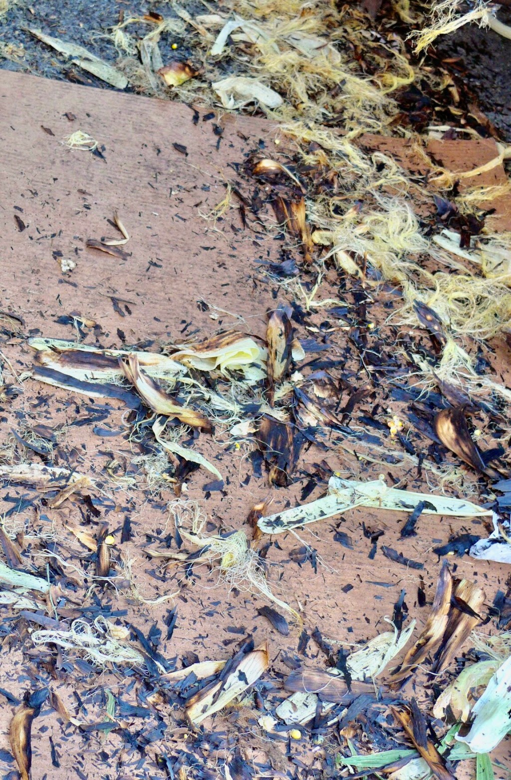 Corn à la&nbsp;Pollock