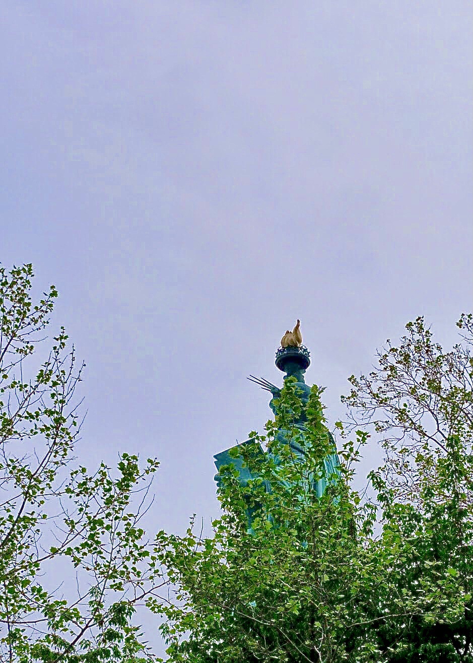 New York, New York — Lady&nbsp;hiding