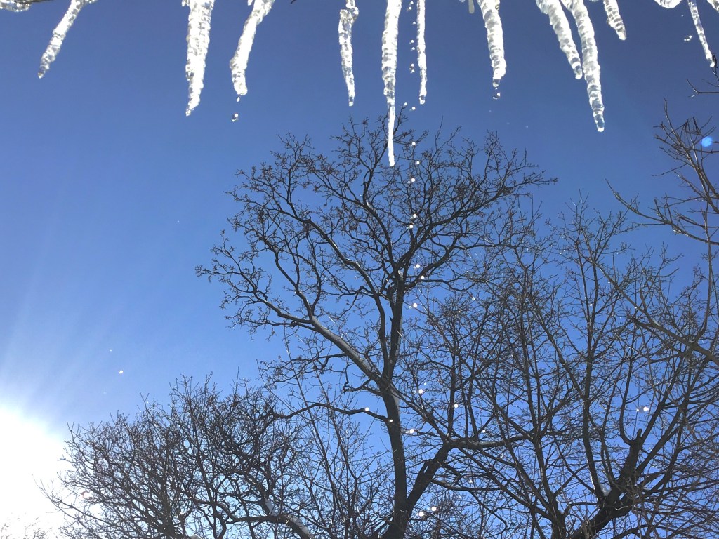 Water, Ice, and&nbsp;Snow