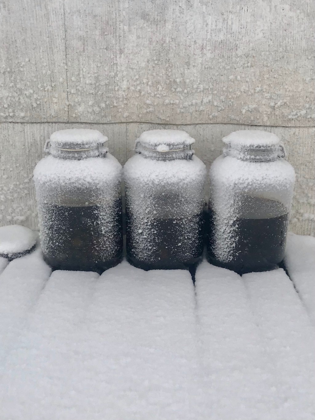 Resting through the&nbsp;Storm