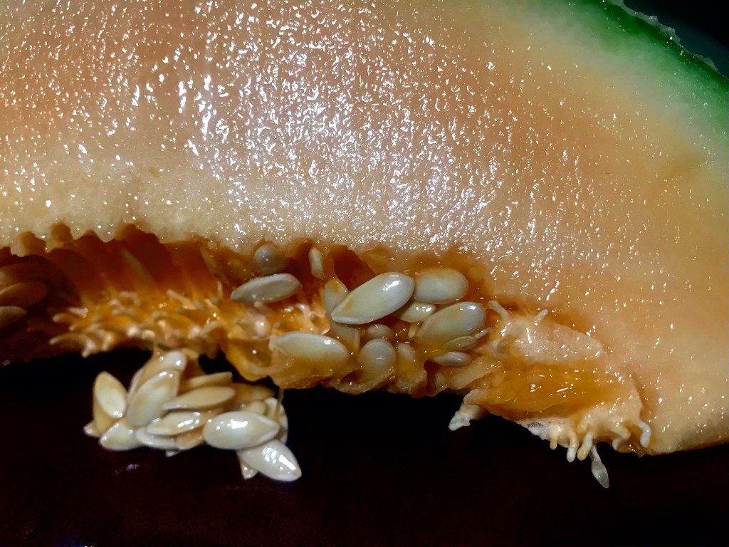 Cantaloupe