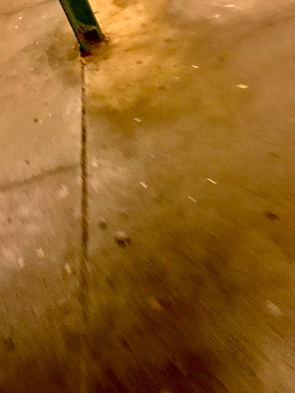 Walking in the&nbsp;rain