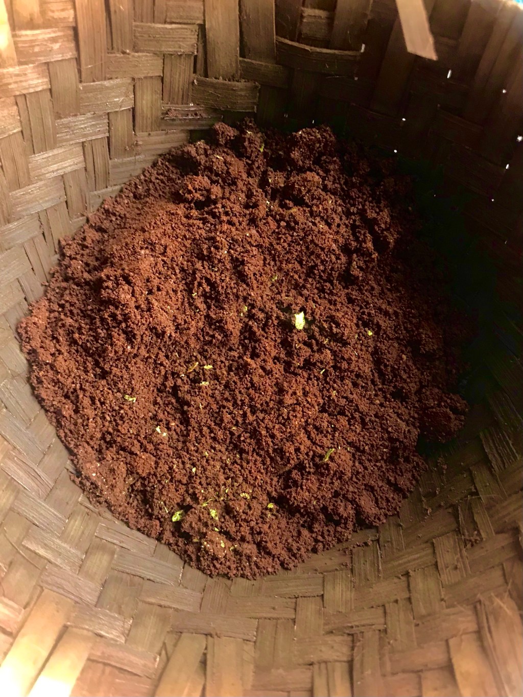 A Bay Leaf&nbsp;reinterpreted