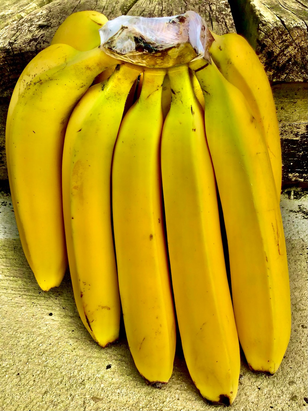 The best way to explain why some picture food, is by photographing&nbsp;food