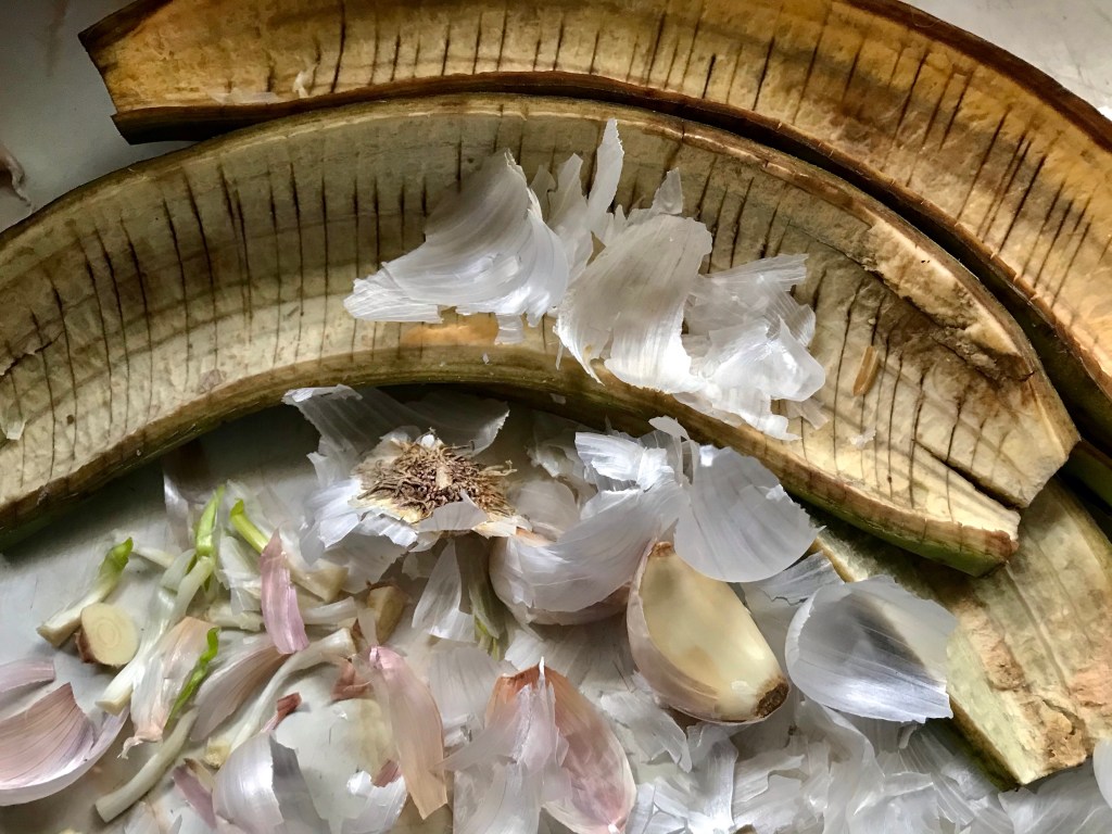 More plantains (one ripe) in white&nbsp;wine