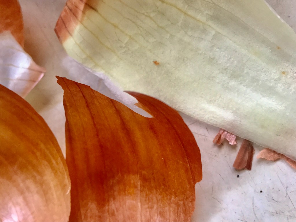 Onion Skin