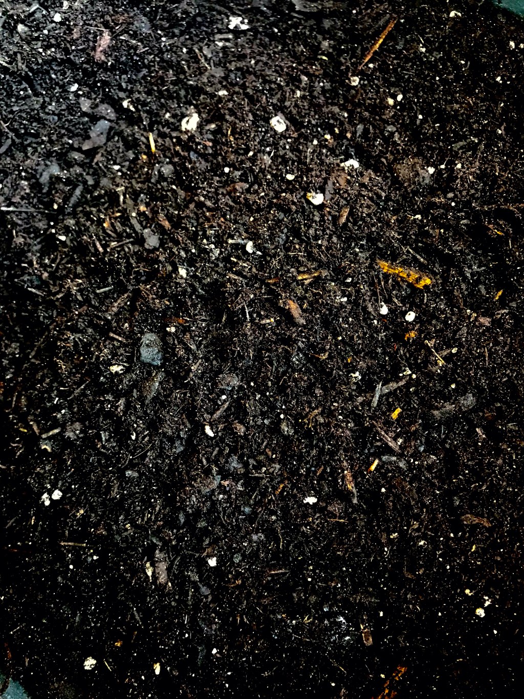 Sphagnum peat moss, perlite, earthworm castings, alfalfa meal, kelp meal, feather meal, yucca&nbsp;extract…