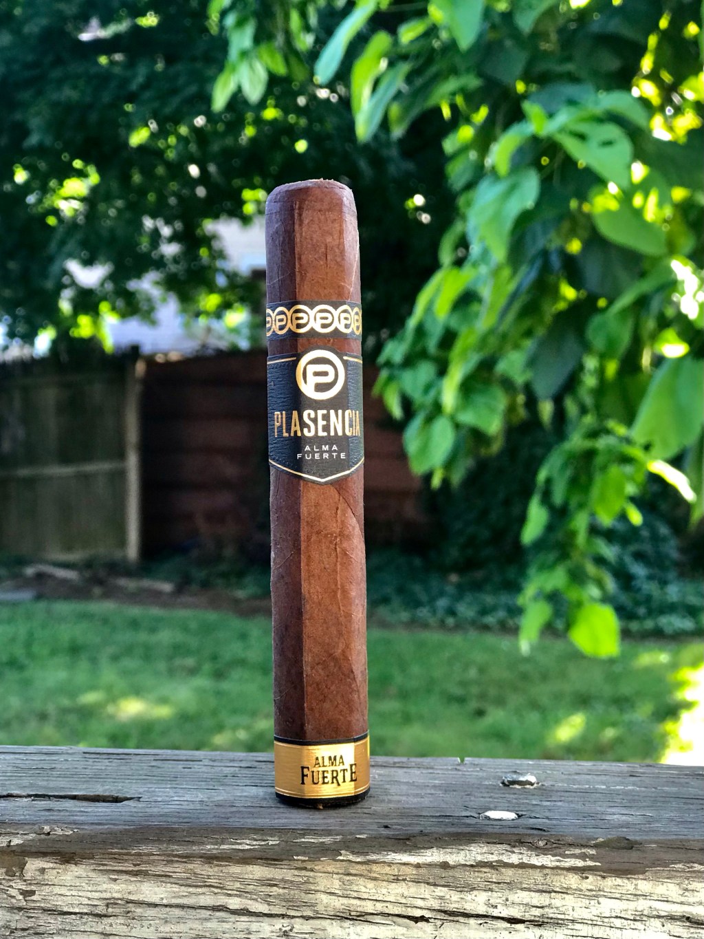 Plasencia — Alma Fuerte, Sixto&nbsp;II