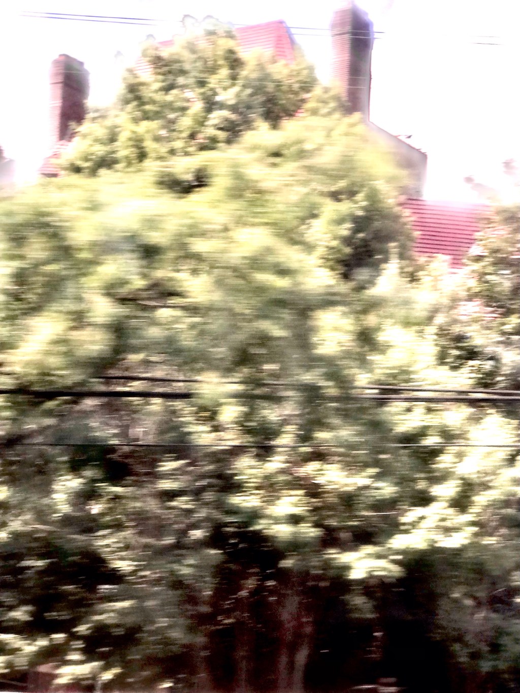 Building behind trees