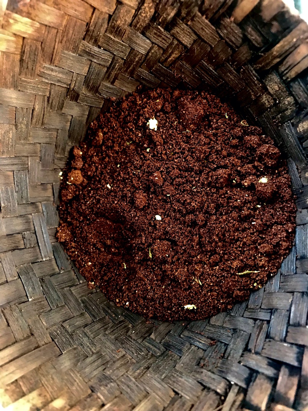 Transitioning from daylight into the early evening, a bay leaf&nbsp;coffee