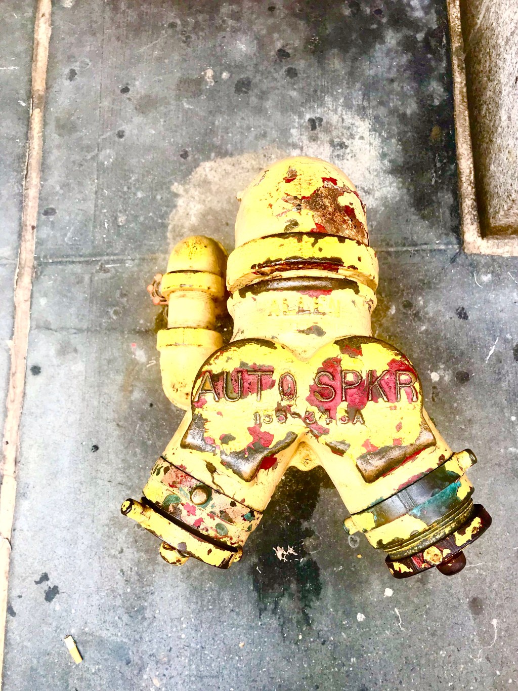 Water Hydrant