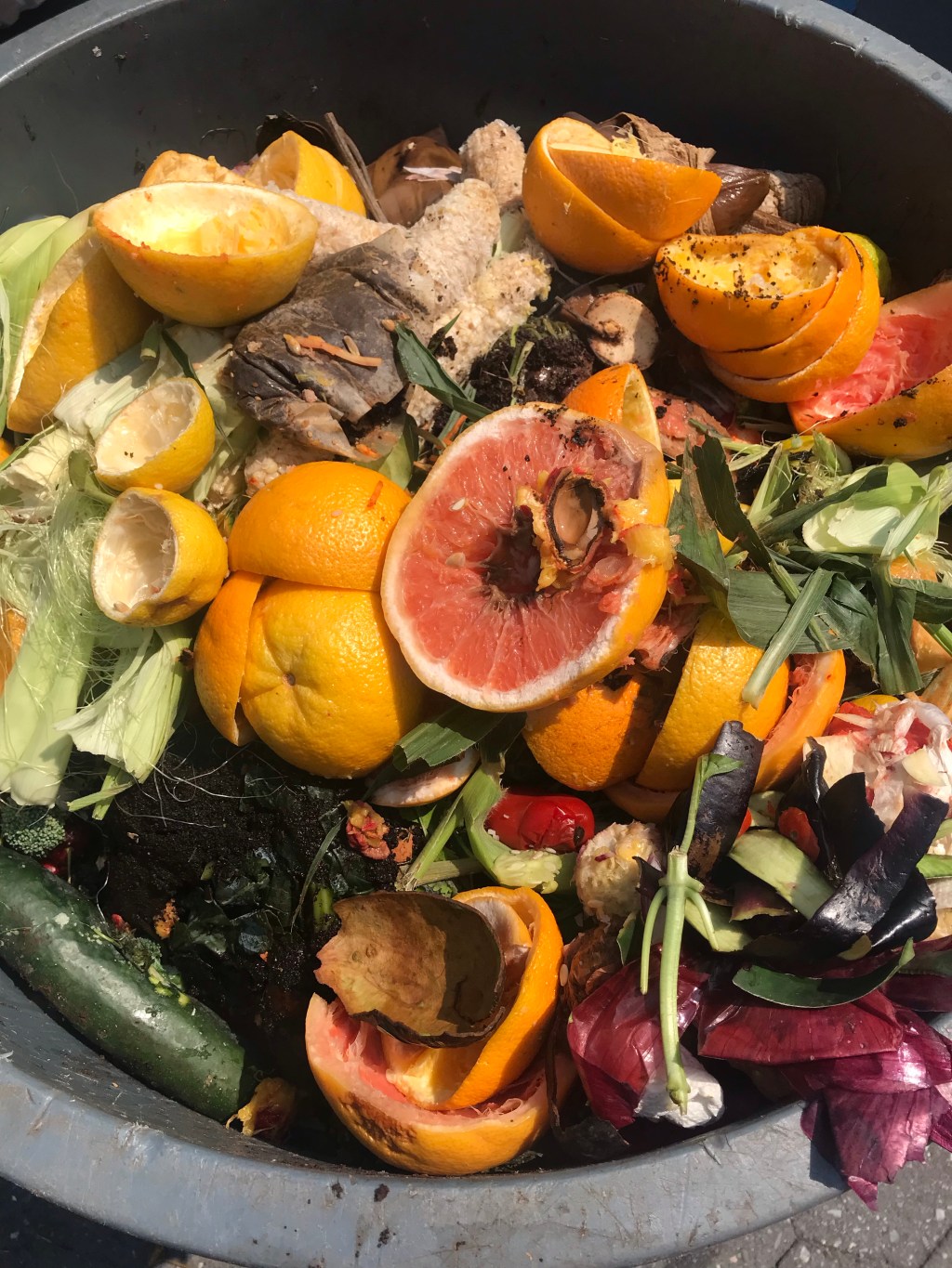 Compost to the Beholder’s&nbsp;Eye