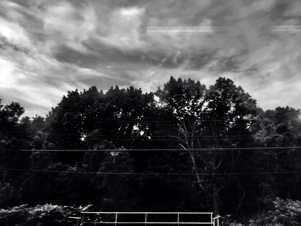 Riding Black and&nbsp;White