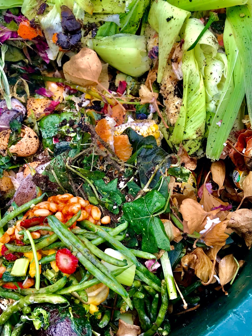 Compost to the Beholder’s&nbsp;Need