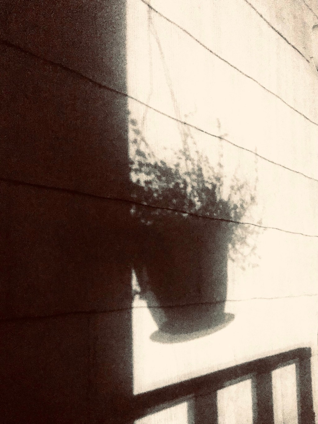 Shadow II