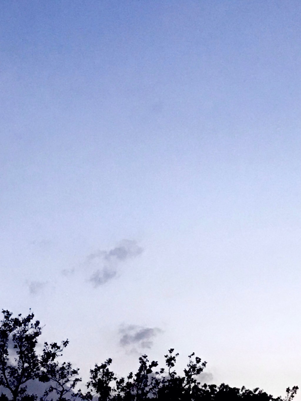 Many humanely talented individuals depart our memory because we were not attentive enough, not because they did not radiate in our&nbsp;direction.