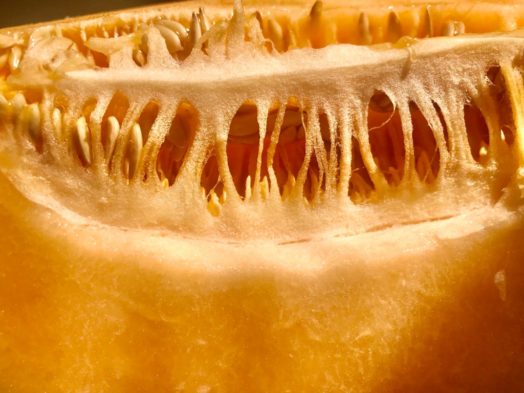 Cantaloupe