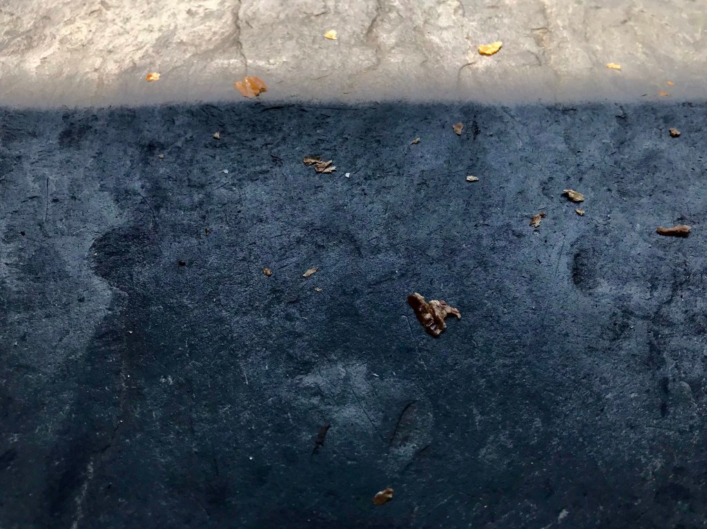 I have been thinking about the value of crumbs for&nbsp;days