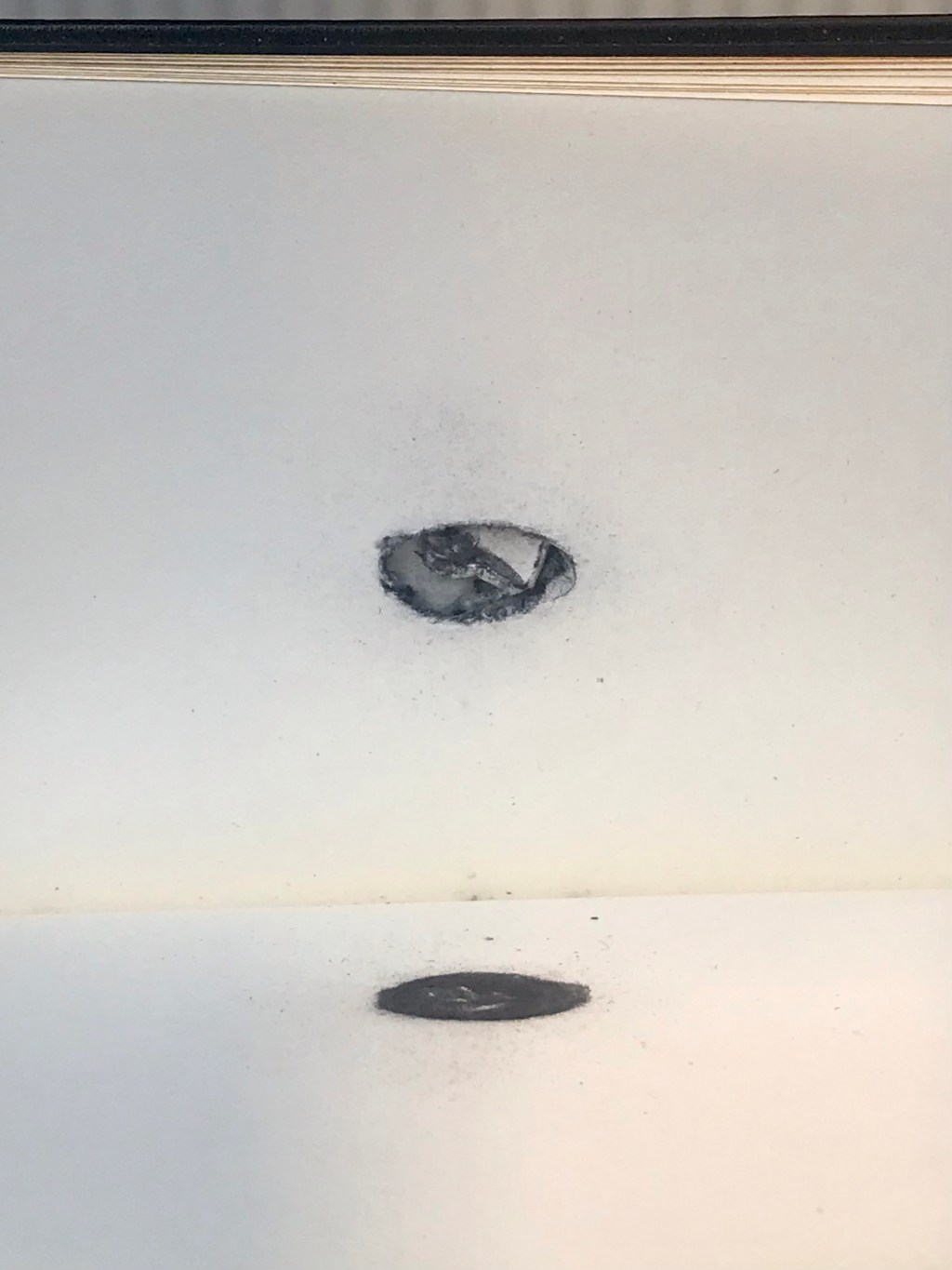 You see what I&nbsp;heard