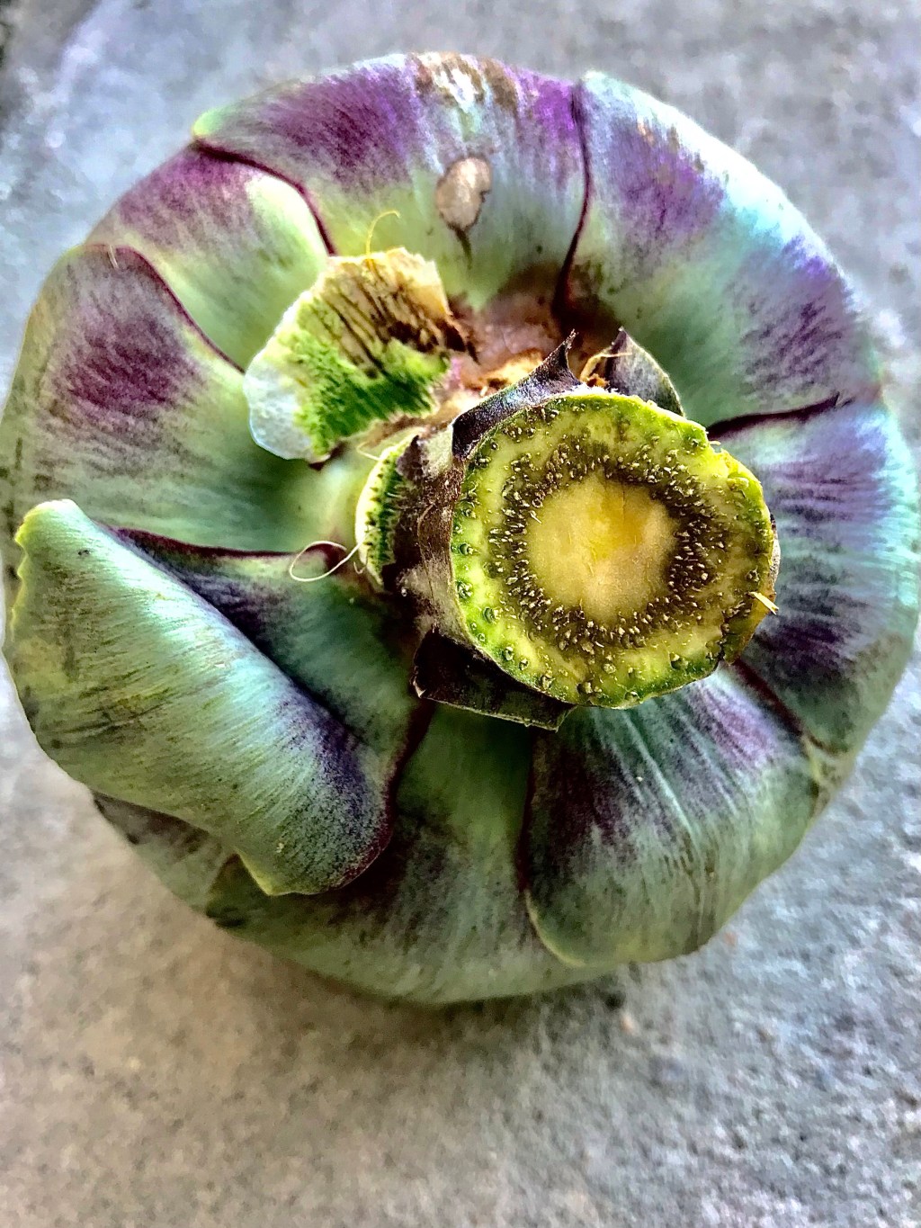 Artichoke Time — different&nbsp;angle