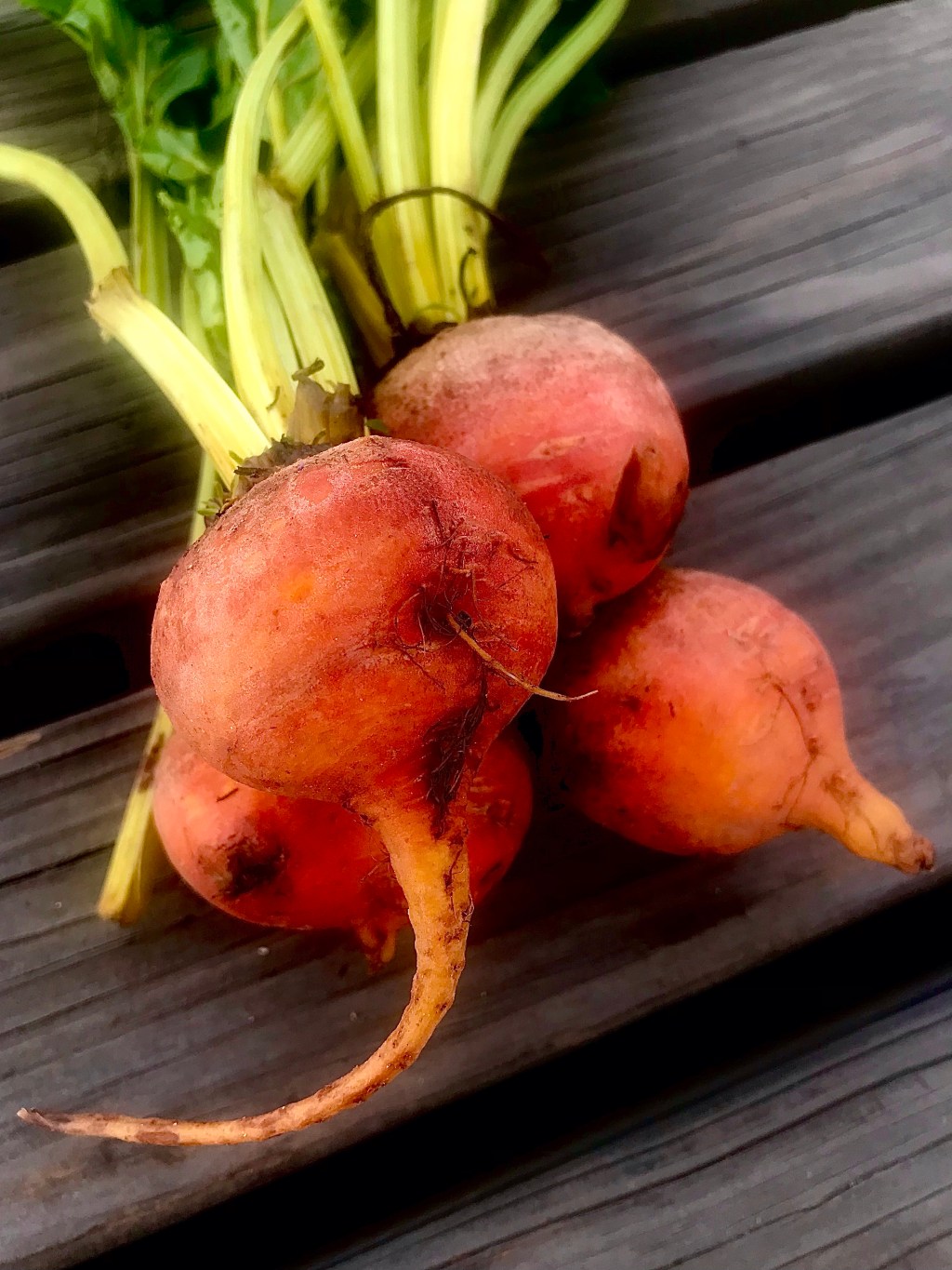 The more variations of fruits of nature I find, the more I wonder what nature actually&nbsp;is