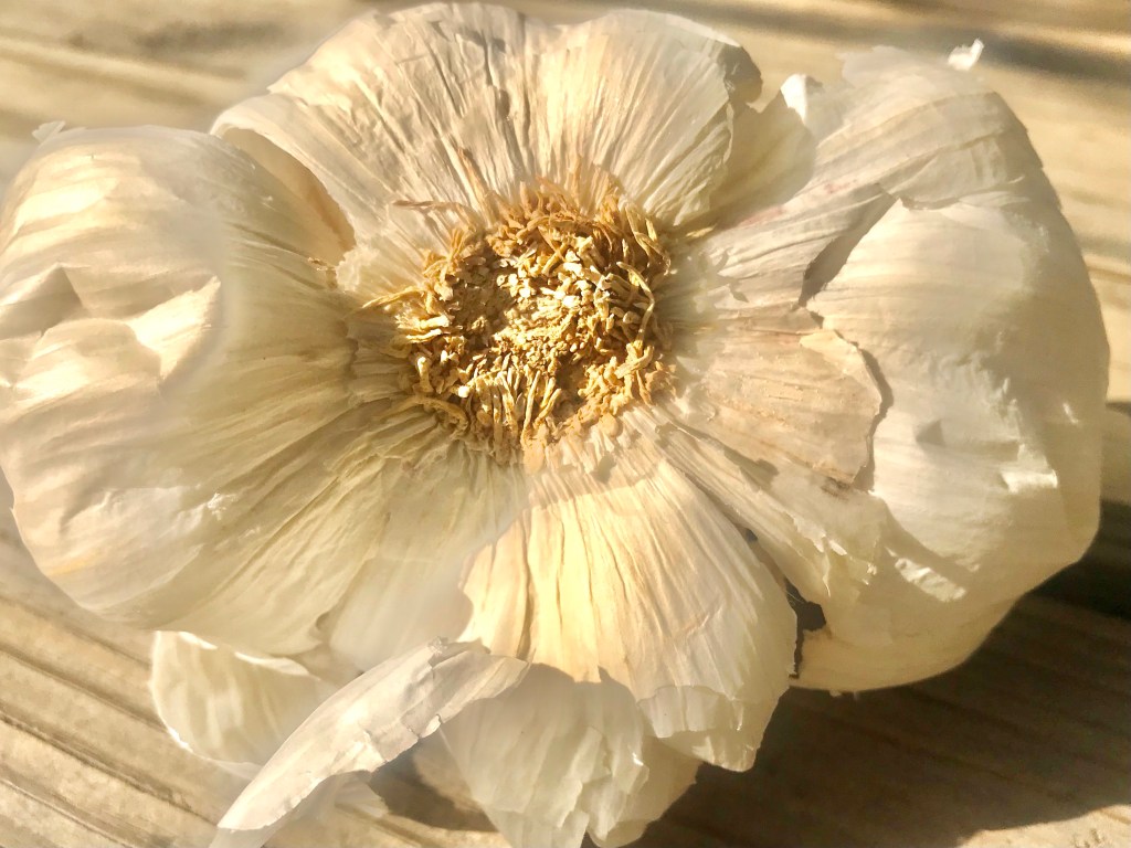 Two sides of&nbsp;empty