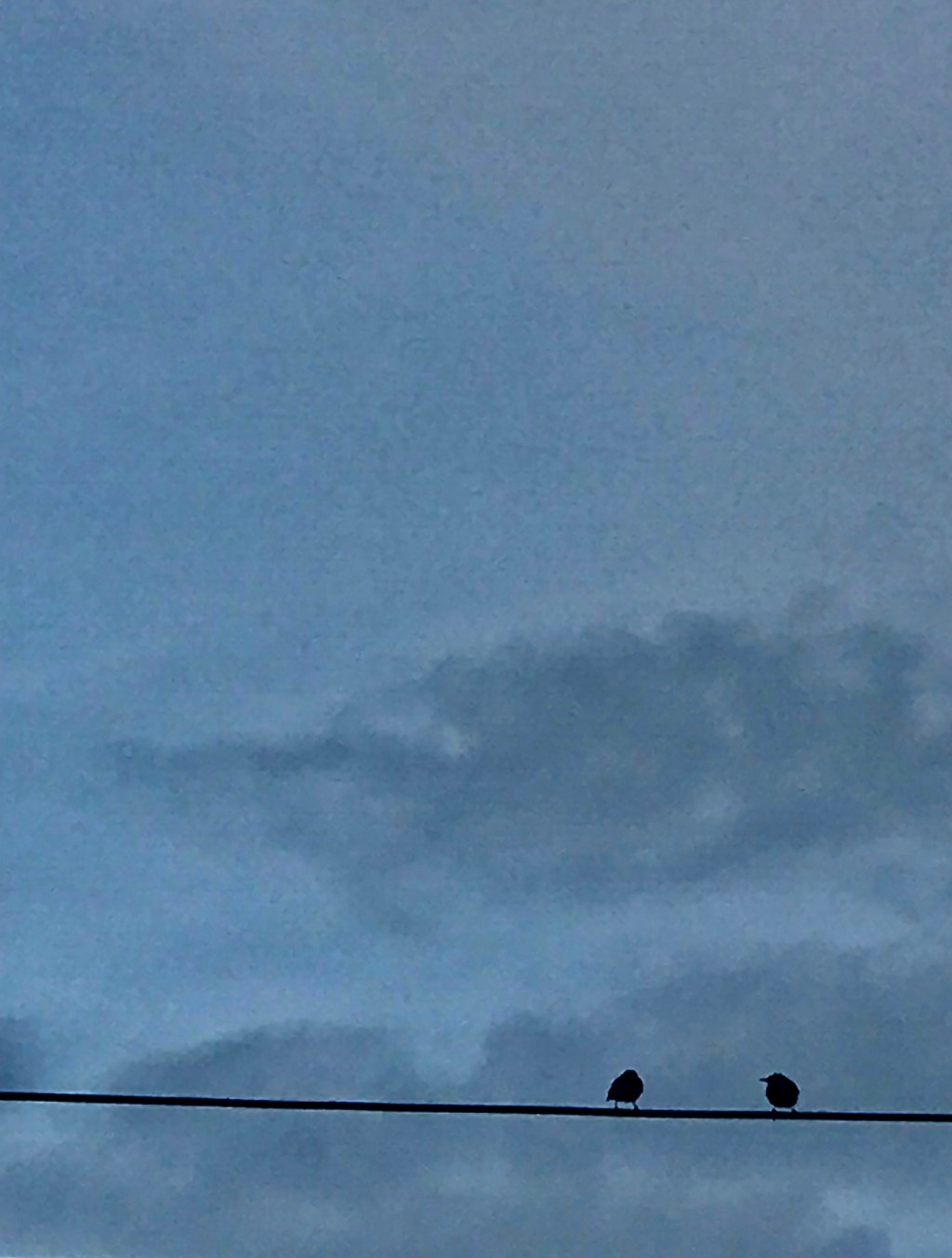 Black on Blues (look at&nbsp;me)