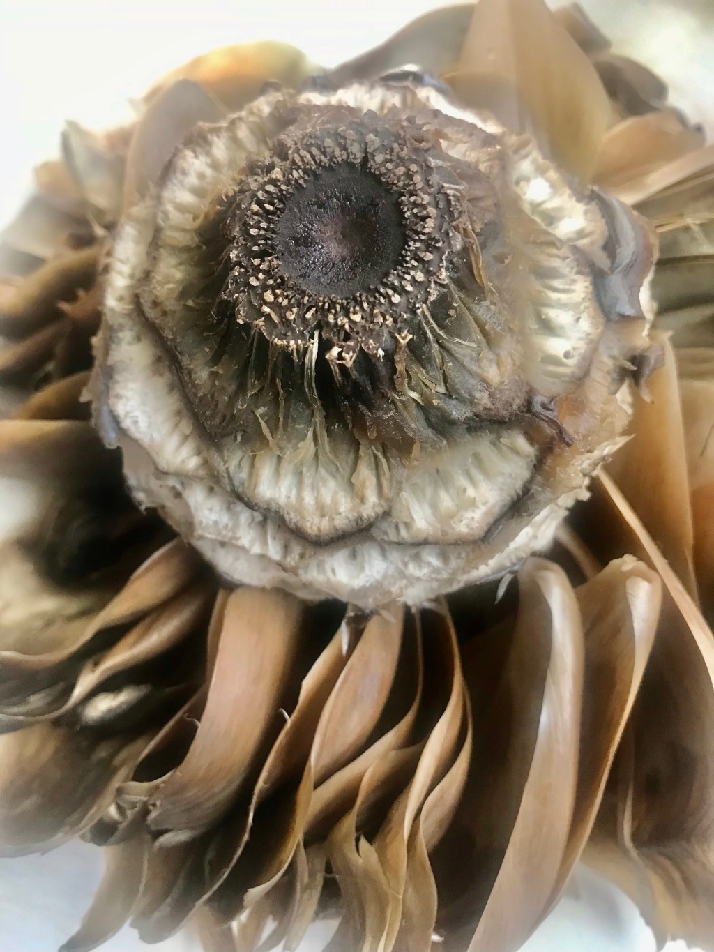 A fairly naked artichoke&nbsp;state