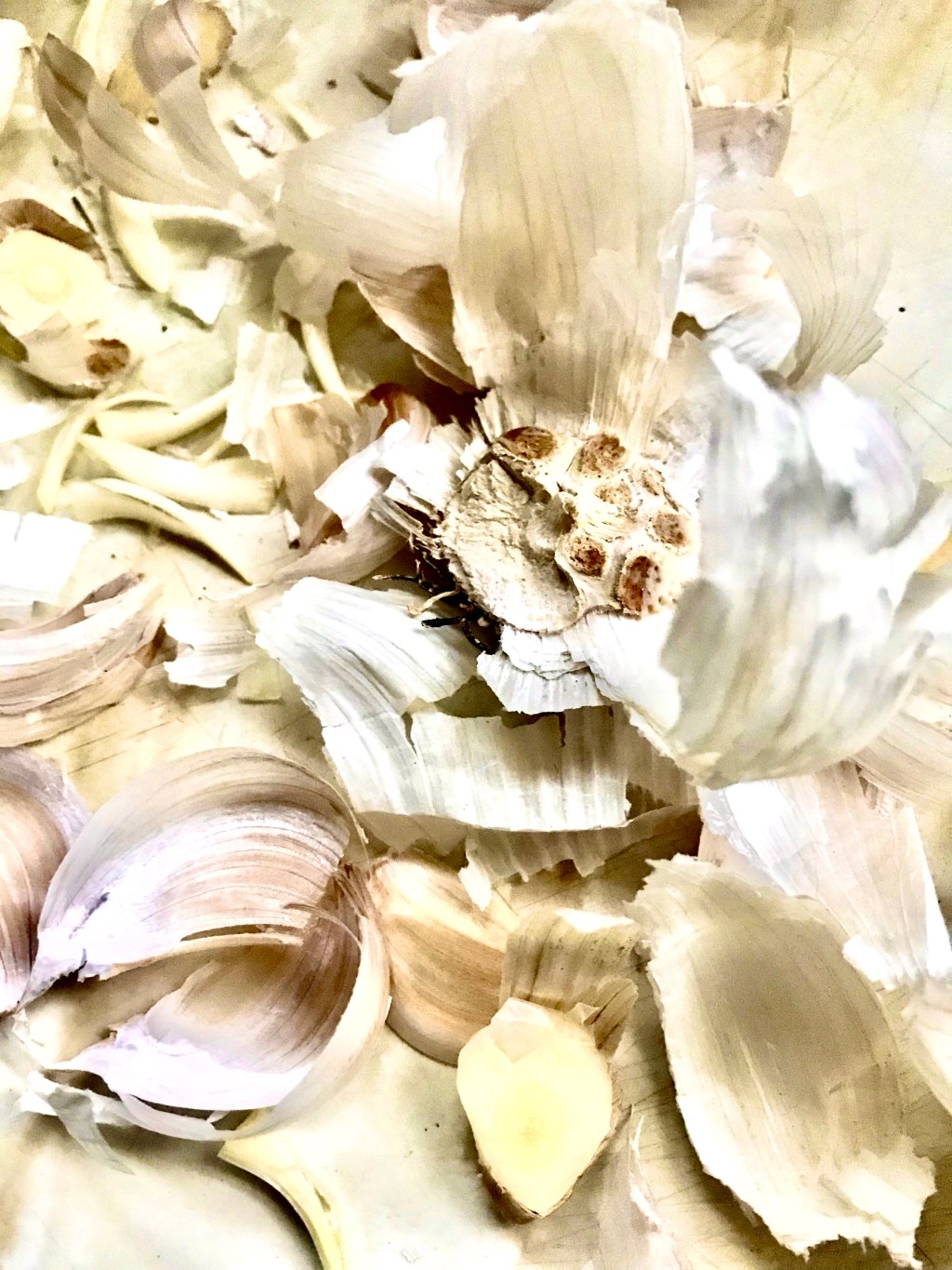 Garlic Debris