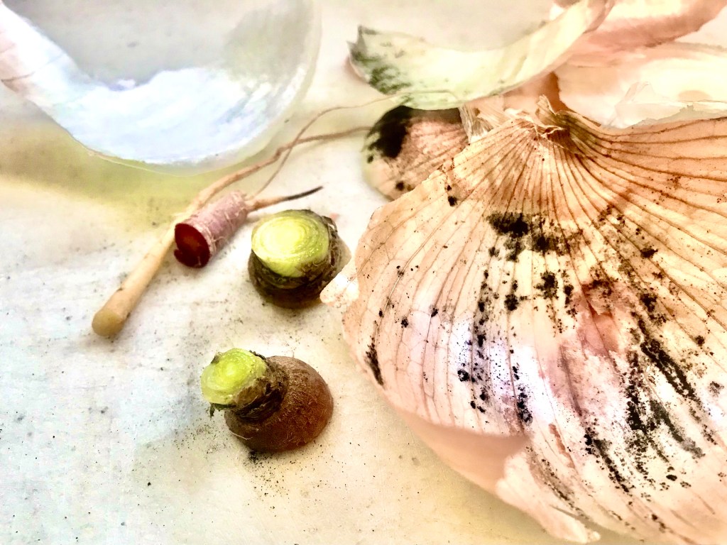 Recycling Aesthetics