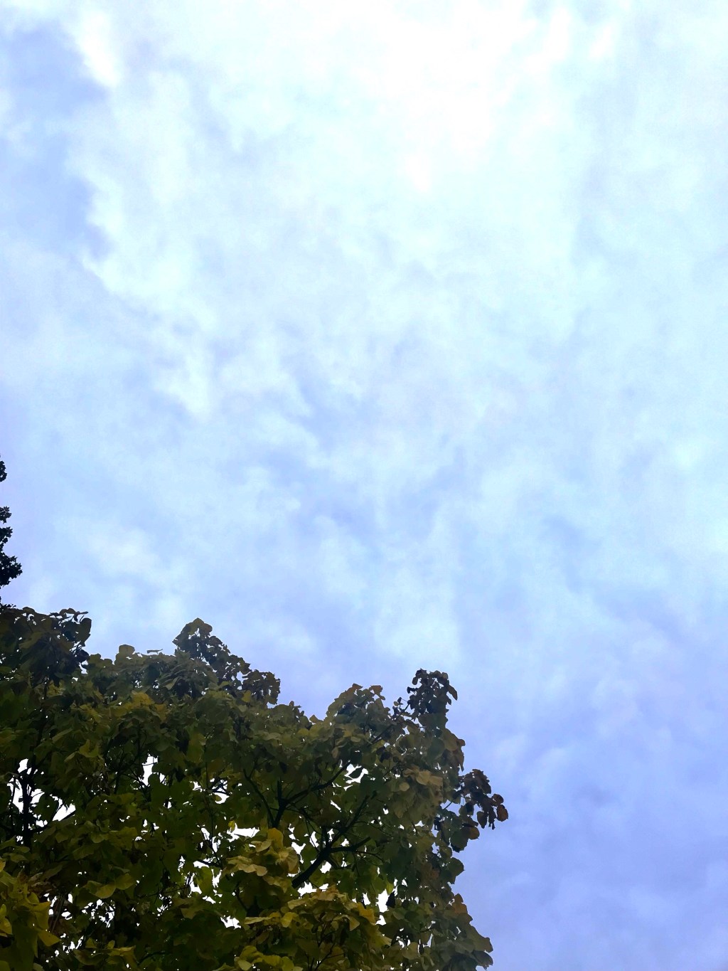 Greens on Blues&nbsp;(4)