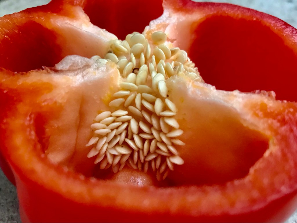Paprika (red bell&nbsp;pepper)