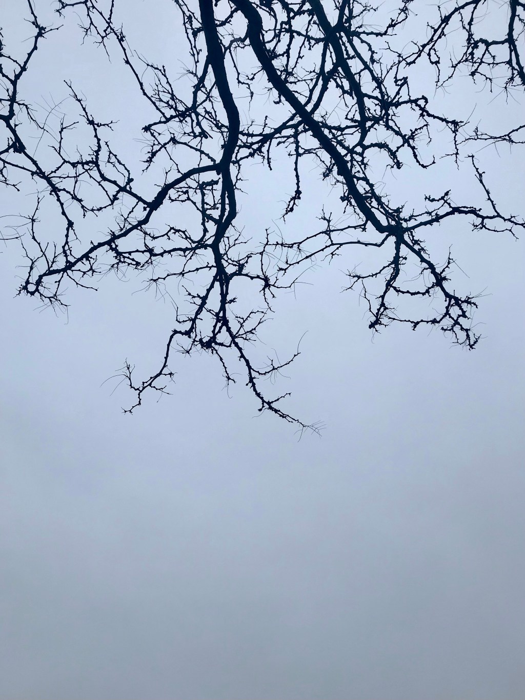 Crown like the&nbsp;Crown