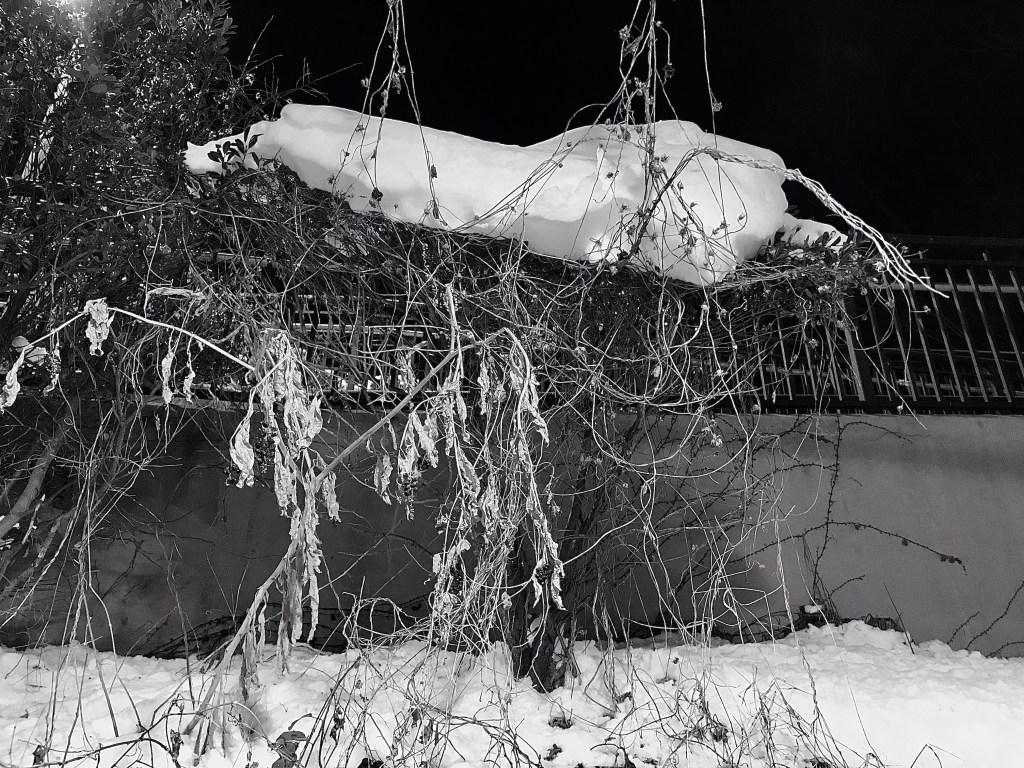 Snow hanging out to&nbsp;dry
