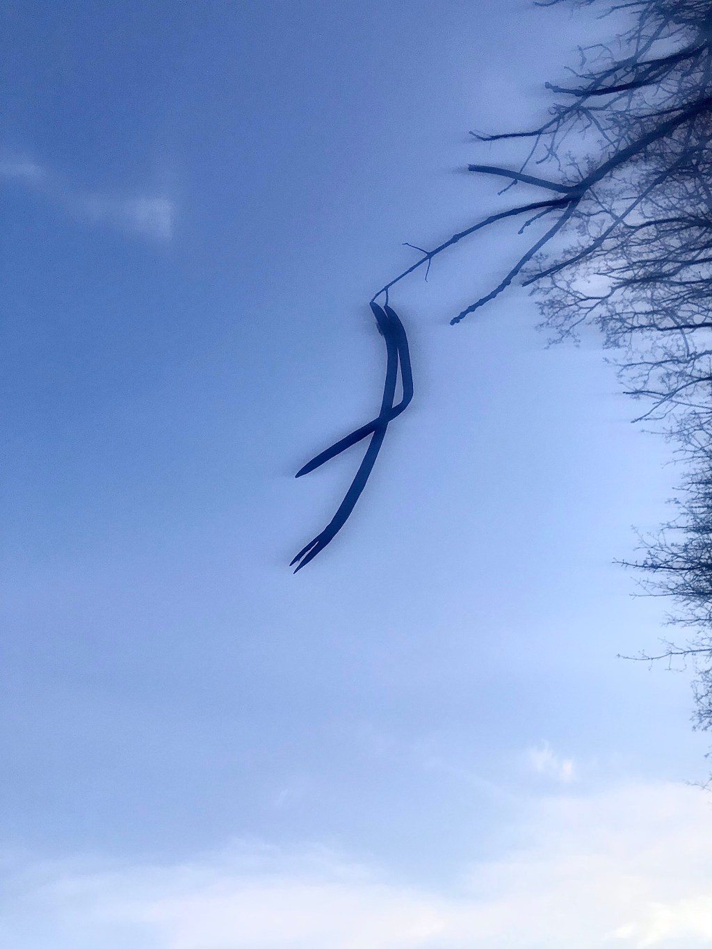 Resilience beyond a&nbsp;season