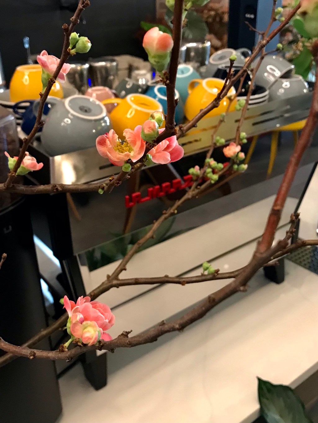 The blooming behind the espresso machine&nbsp;continues