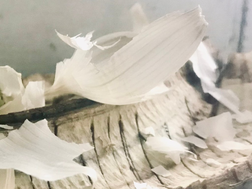 Plantain and Garlic&nbsp;debris