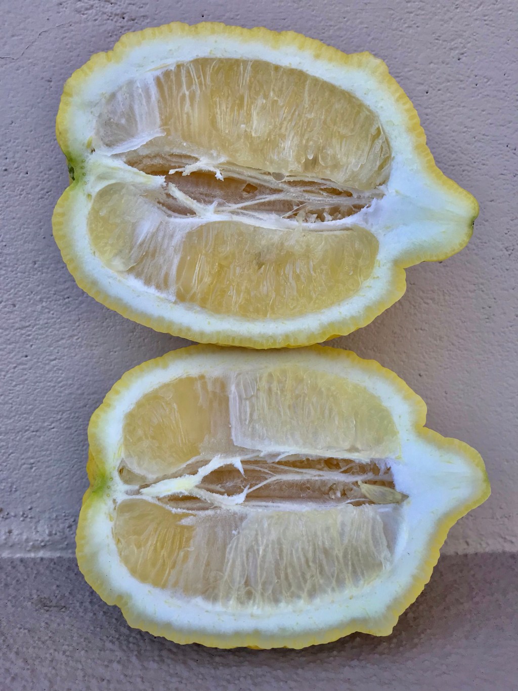 A week with a lemon&nbsp;tree