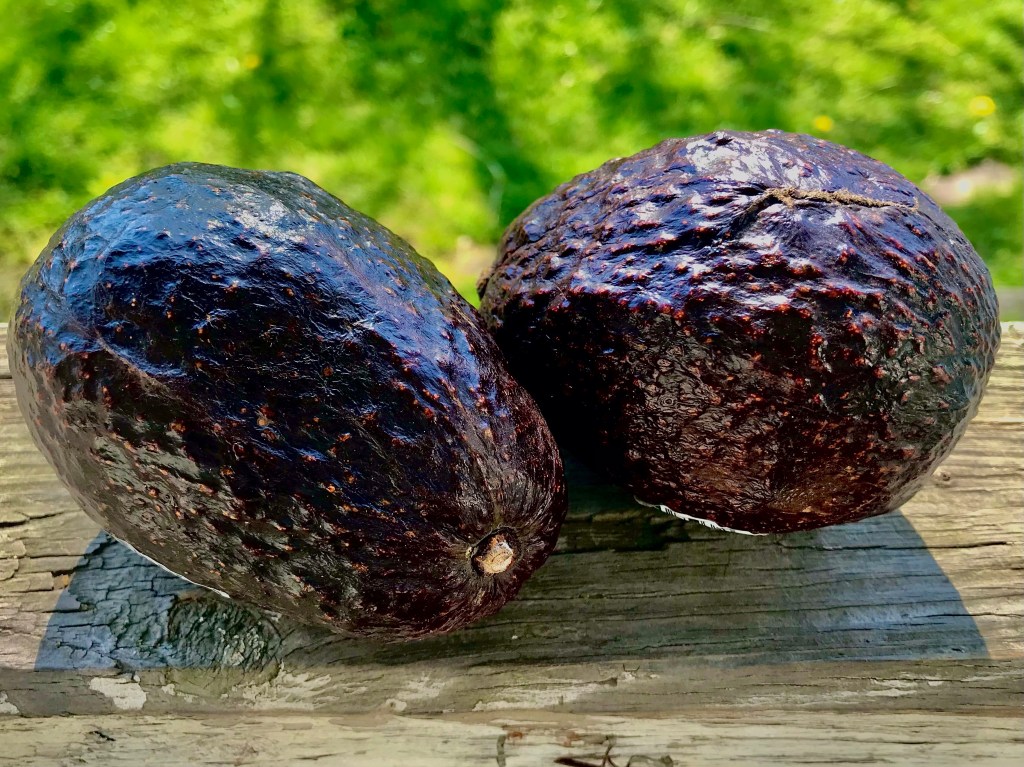 If colors would have spoken to my conscience, intellect, and soul as they do today, fifty-six years ago I would have painted as dedicated and aroused as when my piano playing&nbsp;began