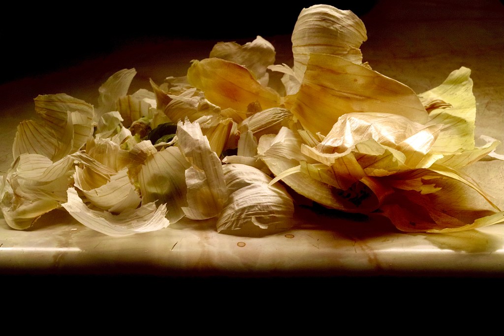 Still Life, Momento mori, and Arte&nbsp;Povera