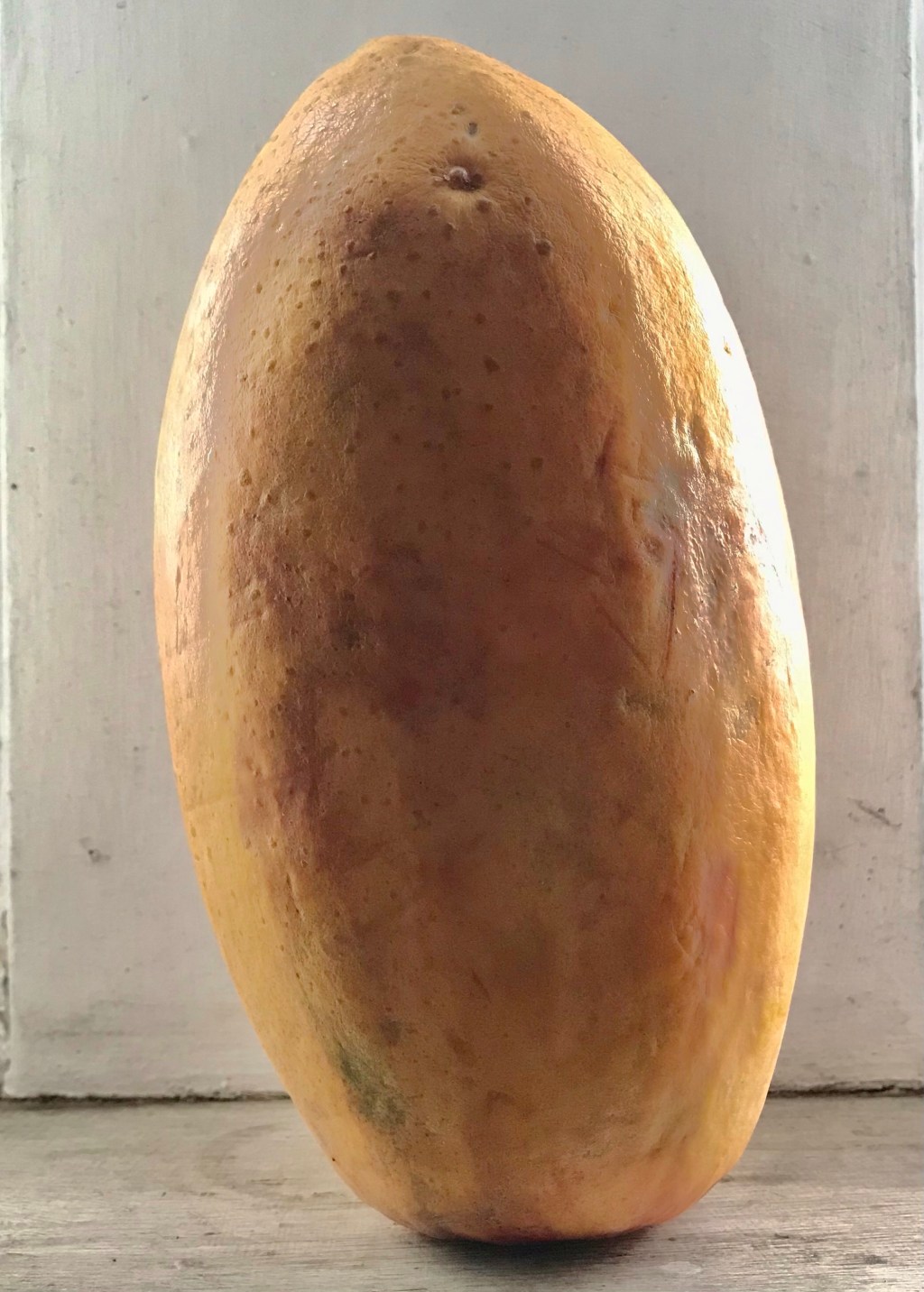 Papaya Portrait (that outer presence does not compare to its inner beauty, and&nbsp;qualities)
