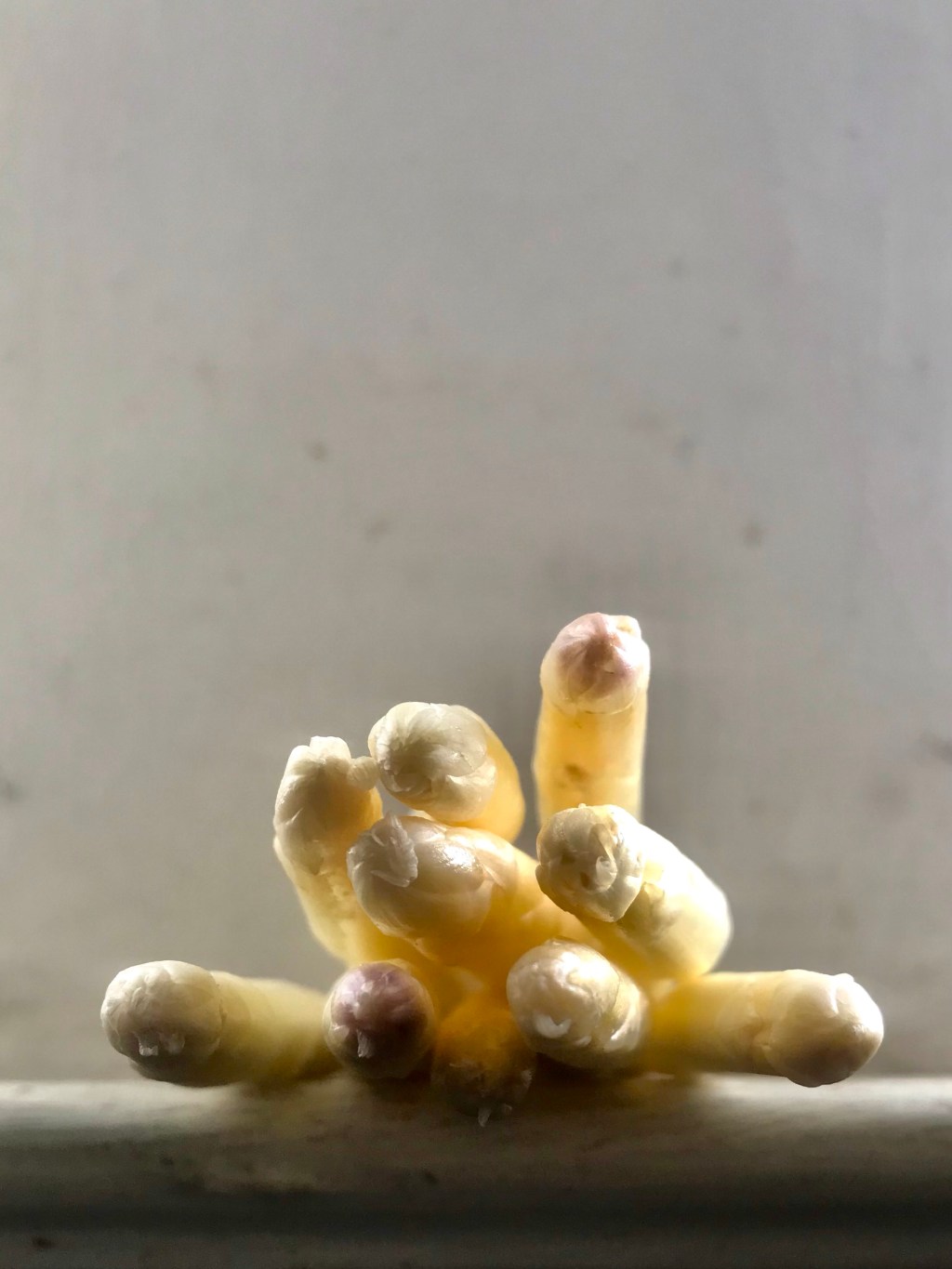 One beautiful result to the manipulation of&nbsp;man