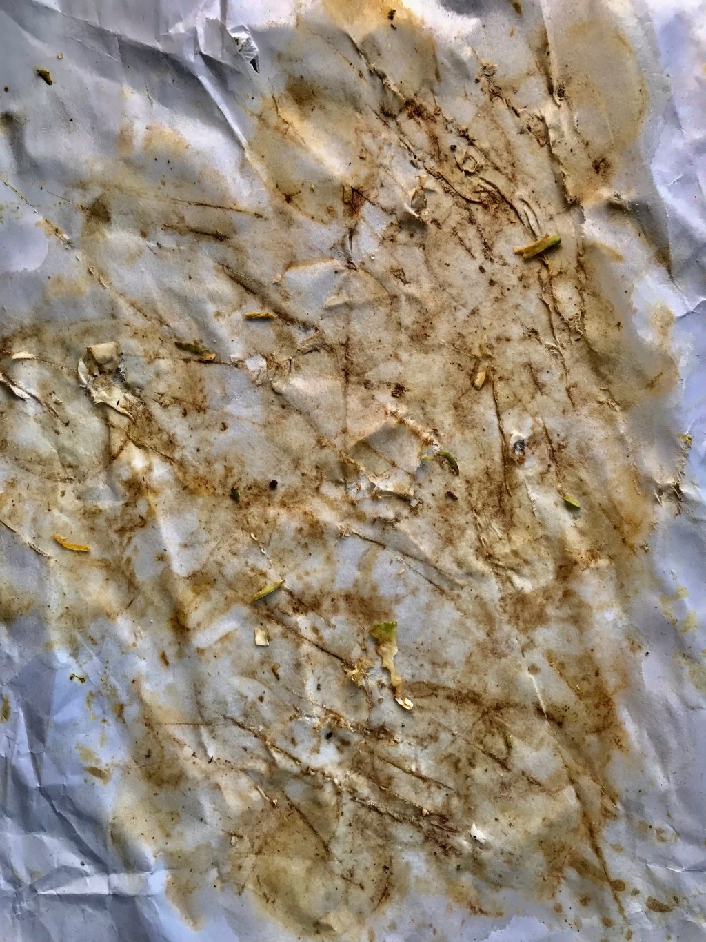 Green Walnut ink on&nbsp;Paper